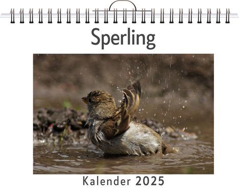 Anna Wolf: Sperling, Kalender