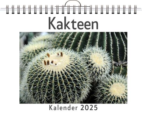 Nora Koch: Kakteen, Kalender