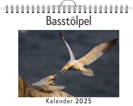 Nora Schubert: Basstölpel, Kalender