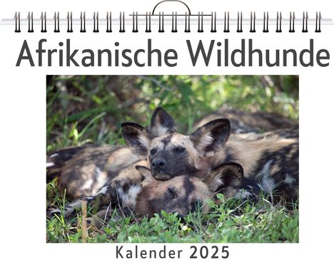 Clara Kaiser: Afrikanische Wildhunde, Kalender