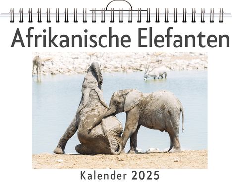 Nele Günther: Afrikanische Elefanten, Kalender