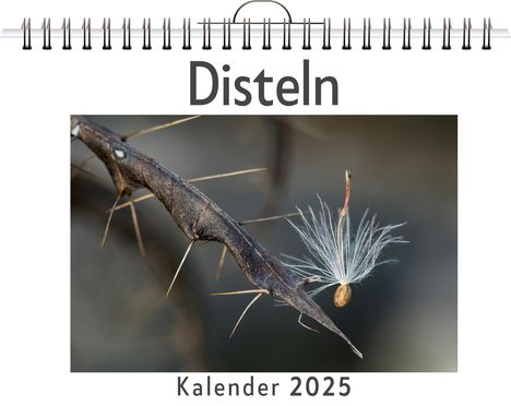 Aaron Vogel: Disteln, Kalender