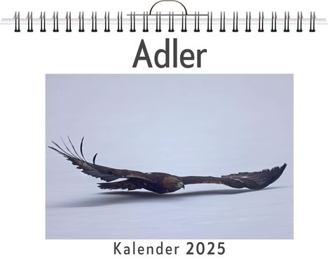 Liam Neumann: Adler, Kalender