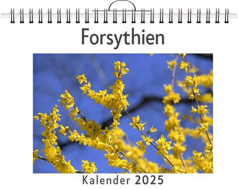 Emilia Schwarz: Forsythien, Kalender