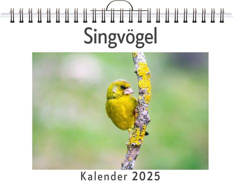 Linus Schubert: Singvögel, Kalender