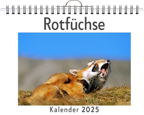 Luca Schmitt: Rotfüchse, Kalender