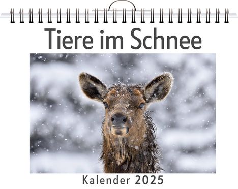 Lucy Scholz: Tiere im Schnee, Kalender