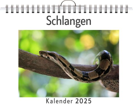 Florian Schäfer: Schlangen, Kalender