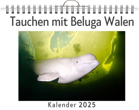 Anton Krause: Tauchen mit Beluga Walen, Kalender