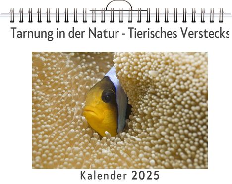 Liam Becker: Tarnung in der Natur - Tierisches Versteckspiel, Kalender