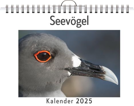 Aaron Hartmann: Seevögel, Kalender