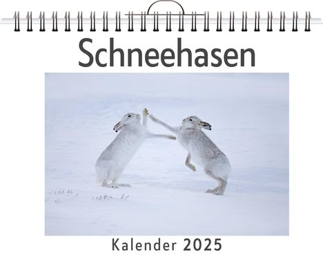 Emily Müller: Schneehasen, Kalender