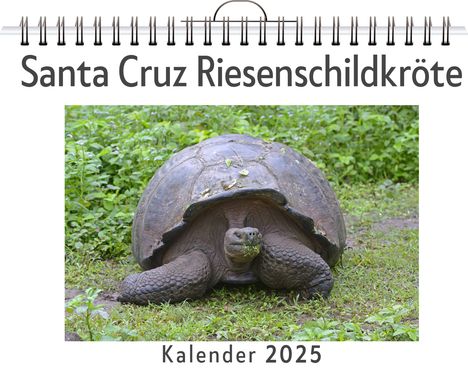 Leon Maier: Santa Cruz Riesenschildkröte, Kalender