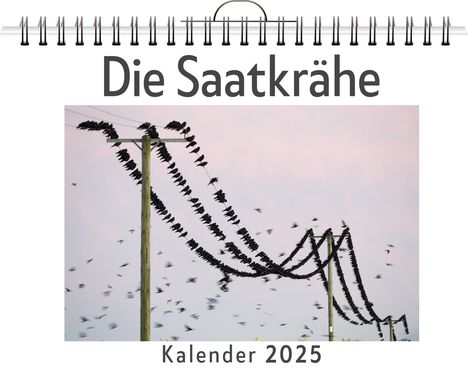 Julian Meier: Die Saatkrähe, Kalender