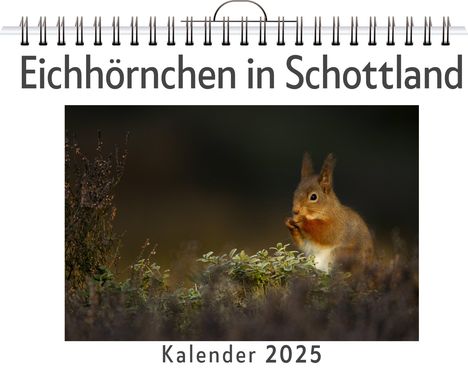 Lina Neumann: Eichhörnchen in Schottland, Kalender