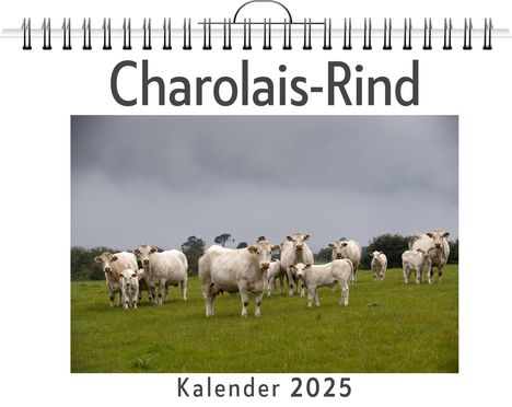 Linus Braun: Charolais-Rind, Kalender