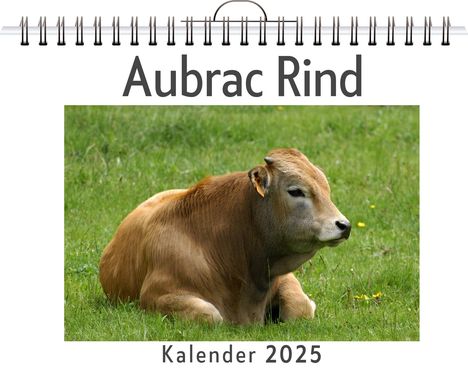 Charlotte Müller: Aubrac Rind, Kalender