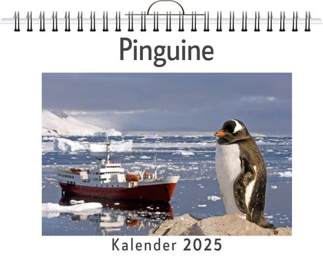 Matteo Neumann: Pinguine, Kalender