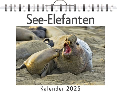 Luisa Schwarz: See-Elefanten, Kalender