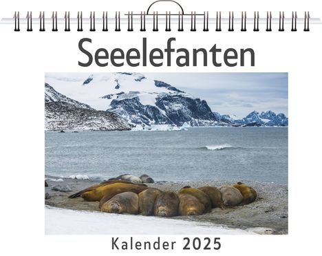 David Becker: Seeelefanten, Kalender