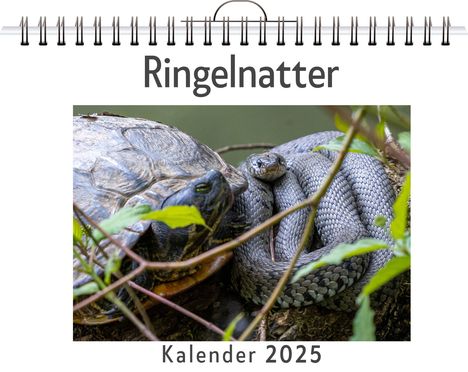 Oliver Münch: Ringelnatter, Kalender