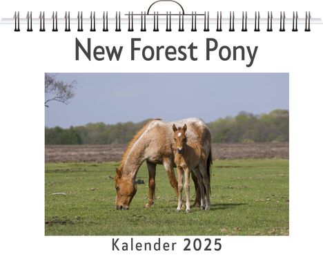 Elias Klein: New Forest Pony, Kalender