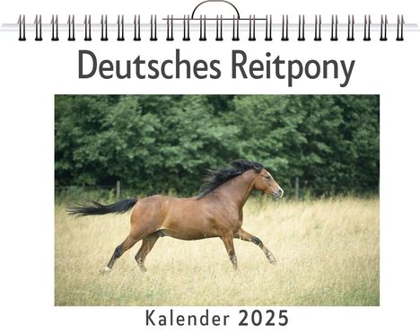 Mia Schneider: Deutsches Reitpony, Kalender