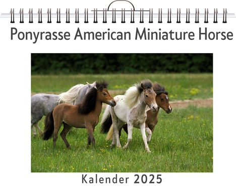 Samuel Wolf: Ponyrasse American Miniature Horse, Kalender