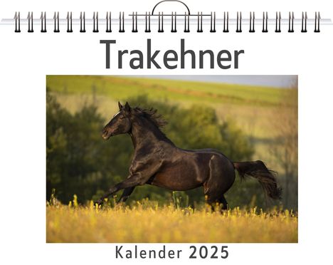 Louis Müller: Trakehner, Kalender