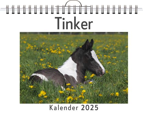 Clara Horn: Tinker, Kalender