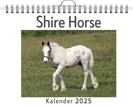 Matteo Lehmann: Shire Horse, Kalender