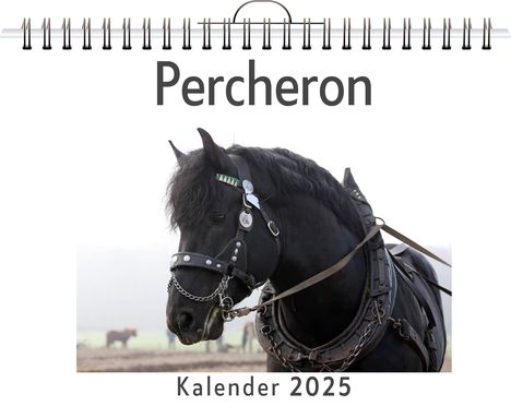 David Maier: Percheron, Kalender