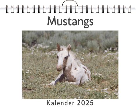 Oliver Meier: Mustangs, Kalender