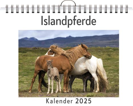 Sophia Huber: Islandpferde, Kalender