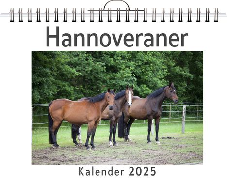 Elias Vogel: Hannoveraner, Kalender