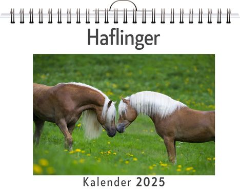 Luca Peters: Haflinger, Kalender