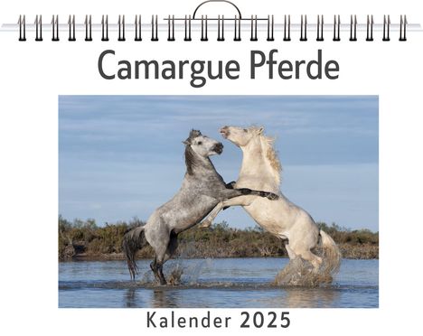 Lina Koch: Camargue Pferde, Kalender