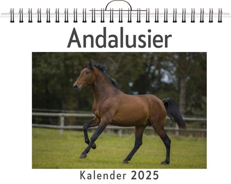 Linus Lang: Andalusier, Kalender