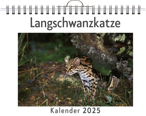 Ella Lang: Langschwanzkatze, Kalender