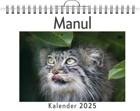 David Möller: Manul, Kalender