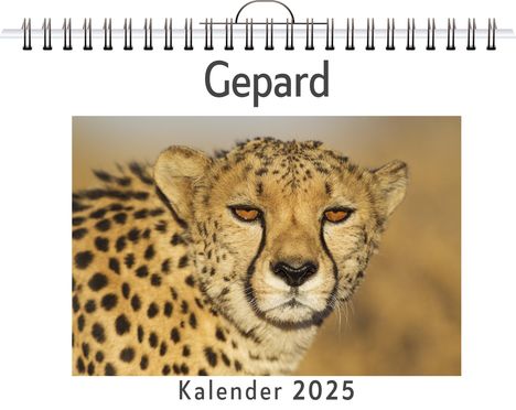 Elias Keller: Gepard, Kalender