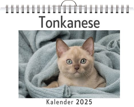 David Peters: Tonkanese, Kalender