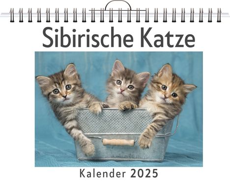 Clara Hoffmann: Sibirische Katze, Kalender