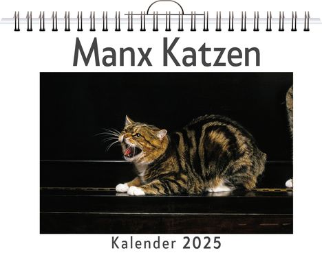 Leah Müller: Manx Katzen, Kalender