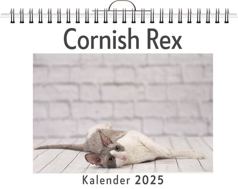 Ella Richter: Cornish Rex, Kalender