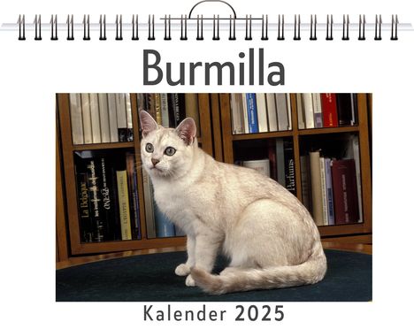 Jonas Schmidt: Burmilla, Kalender