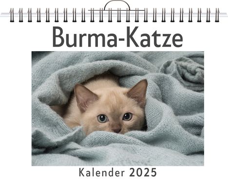 David Schmidt: Burma-Katze, Kalender