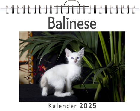 Clara Meyer: Balinese, Kalender