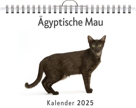 Emil Fischer: Ägyptische Mau, Kalender