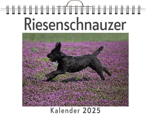 Jonah Schubert: Riesenschnauzer, Kalender